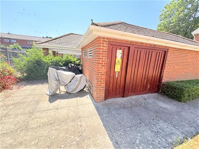 Picture 16